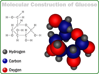 Glucose 