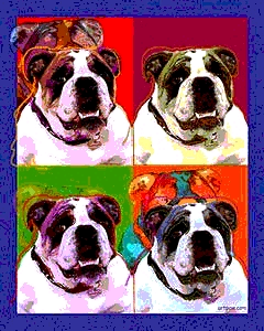 dog