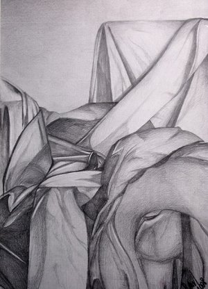 Fabric