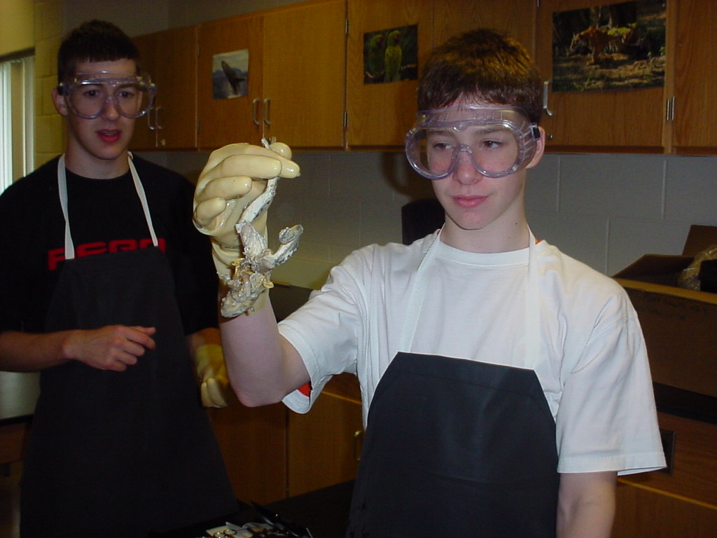 frog