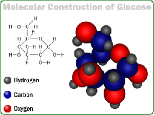 Glu