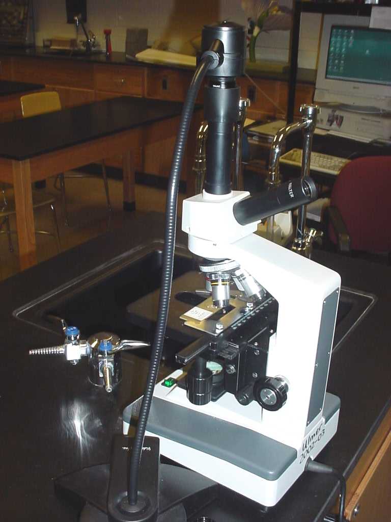 micro