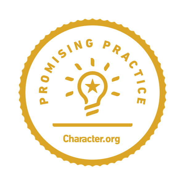 Promising Practices