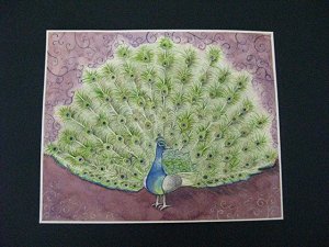 peacock