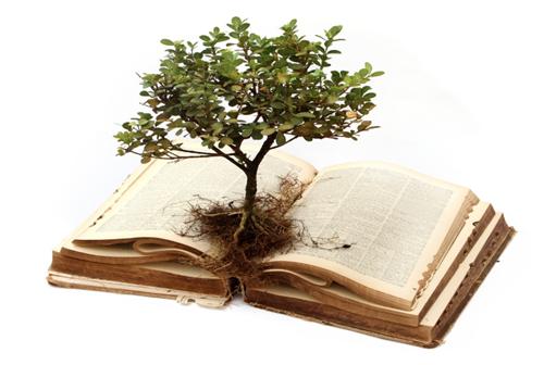 WGEN tree 