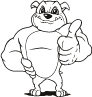 Bulldog Thumbs Up