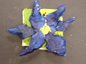 Flower 6 
