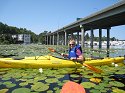 Kayaking in WA.