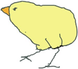 chick